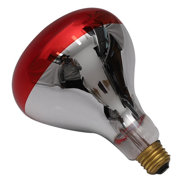 infrared lamp (red bulb)